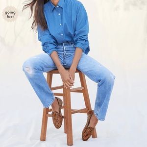 Birdies The Starling